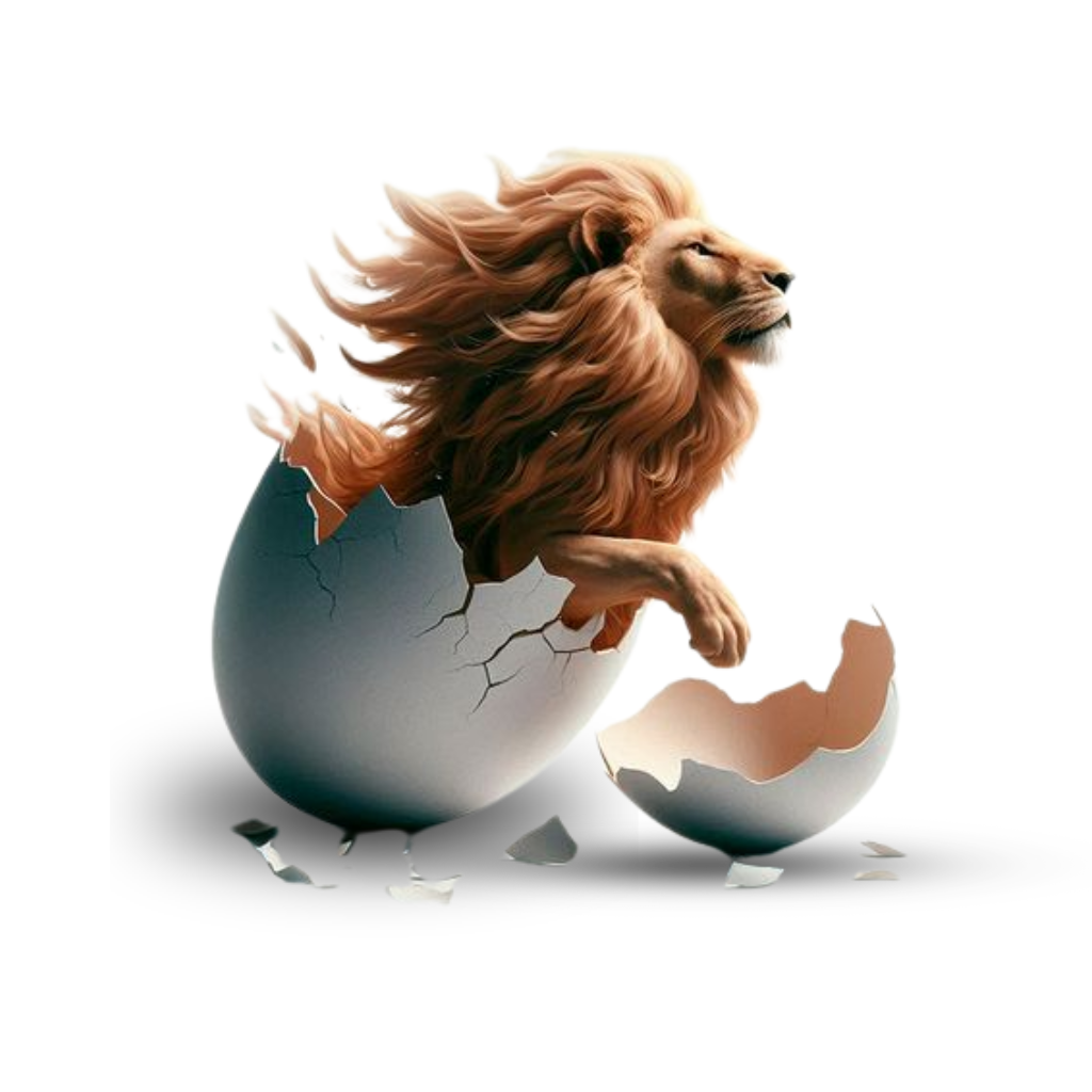 Website development company in Mumbai offering Google & Meta Ads services in Thane for business growth