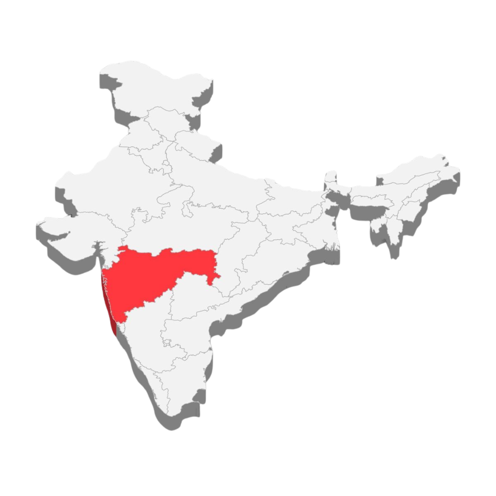 SEO services in Mumbai to improve website rankings and drive organic traffic